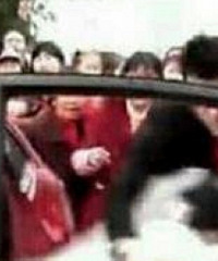 ���׵������ɶ����������