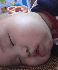 ������ʲô