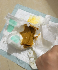 3��19�챦��������ô����