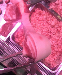 ȥĳ�������˿��廨�� �ؼ�һ������Ѭ�죡