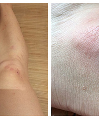 ��4���� ȫ����ʼ�� һ��һƬ���