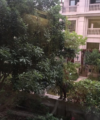 ����С������÷���� �������˷�ǽ����͵��÷