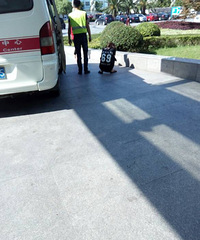 ��ù��Ů�ӳ˹����³�ͷ�����ż��� �����ߺ�ͷ�ε�ת