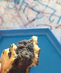 �ҵθ����ģ������������ĳ�����±���Գ��˸�ë