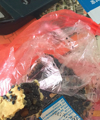 �ҵθ����ģ������������ĳ�����±���Գ��˸�ë