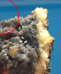 �����������±���Գ�...һ��ë��