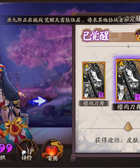 �����İ�