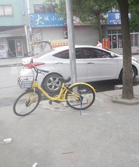 ���������� С����Ȼ�Ĳ��˱��ƻ�������