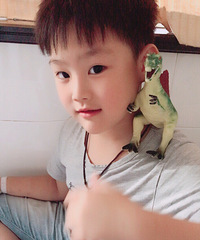 ������������������  ϣ�������տ�����