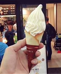 ɹ��������� ���ǹ�˾�ı������Ұ���(30��)