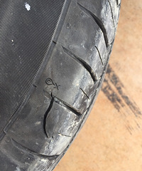 ����Զ����·���� �ҵ��³��������������ˣ�Ҫ��̥...