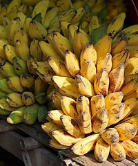 5��Ů�����˱����͵İŽ���ҭ��������������������