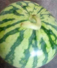 ��������ֻ���Ͼ�Ȼ�ɾ���