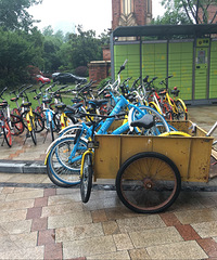 ����ĳС�������棺��ֹһ�й����������� ����һƬ�кã�