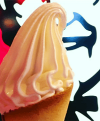 ��ʮ����ѱ���������� �㻹������