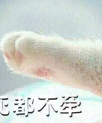 �ҿ�ζ�� ϲ�����ָ߸ߵ����� ��ϲ�����Ǵ�����