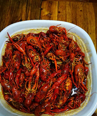 [��ʳ]Ϊ�����С��Ϻ �Ҵ�����������