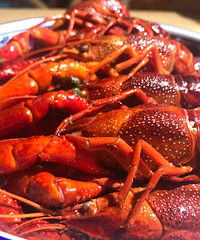 �������Ϻ��ͷҲ̫���˰ɣ���������������