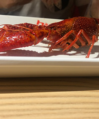 �������Ϻ��ͷҲ̫���˰ɣ���������������