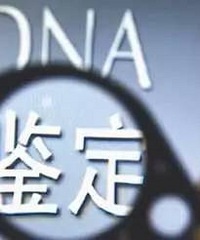 20�������4�������Ƶ��������Ӽ����������