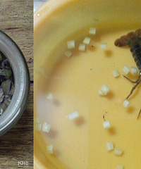 �Ҽ�������ֻС��Ϻ������ ���������ˮ���۲�