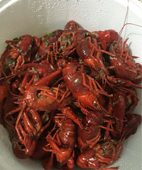 ���������С��Ϻ �Եó�����