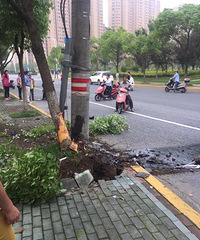 һ������Ե�޹�һͷײ�ϴ��� ��ͷ�������ϣ�����ܱ�ͣ��һƬ