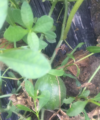 ũ�������