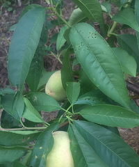 ũ�������