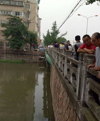 ����һ���Ӿƺ��Ҳ�����Ǯ ��׷��һͷ�����ӣ����һ��û������