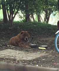 ��·�߿���һ���� ���᣿�߼�����������˵���ܴ��ܶ���