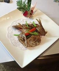 91��GG �� ����178 �������� ������