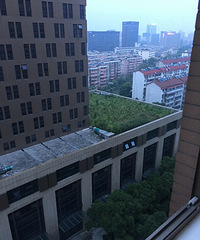 ����ĳ��βд��¥�� ��Ȼ���������ף������д���...