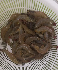 ��ʳ���˽���������Ϻ ��Ҳ̫����