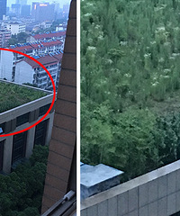 ��Ц����βд��¥�����׵�