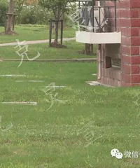 ���㲻�ϰ࣬�����Ӷ������ã�������5���µ�Ů����5¥һ������