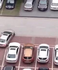 �˼�ͣ�������� ����ͣ����������