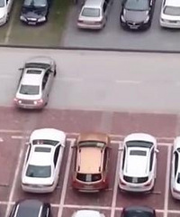 �˼�ͣ�������� ����ͣ����������