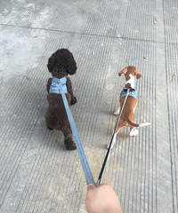 91��GG ����180 ����20�� �з���