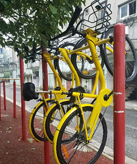 �����Ű�����������ʺ��ڣ��������ˡ���