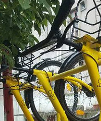 �����Ű�������� ���ʺ��ڣ�