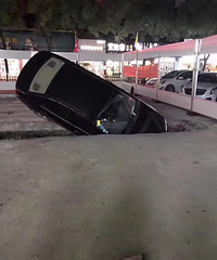 ���첻�˿��� һͷ�����