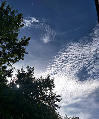 ���������ϴ����� ������ž�����պ�����