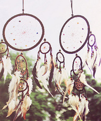 ����ʱ�������õ�8�ڡ�׼����һ�𡰱�֯���������صĲ�����