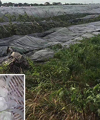 ��Щ���������ı����ɵģ��ͳ��۰�ҹ��������