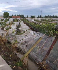 ǰ���������硱������ ��������ֵ�����ȫ��������