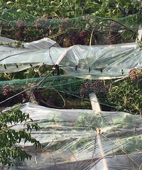 ǰ���������硱������ ��������ֵ�����ȫ��������