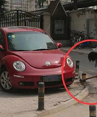 ǧ��Ҫ��Ů˾�� ������ʲô����