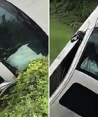 ���ˣ�ƽ������ɽһ��ɫ�γ��Ӹߴ�׹��