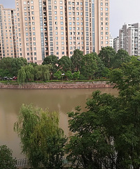 ��� ��Ǩ���ľ�ɫ���Ƿ���